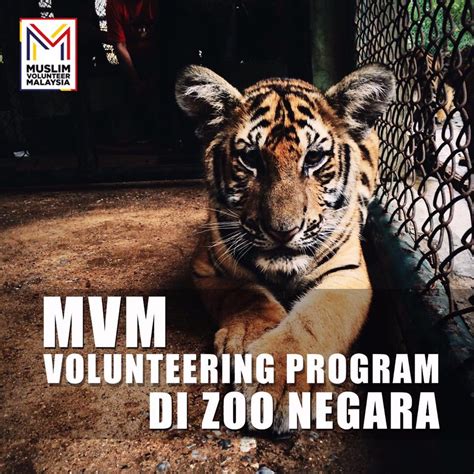 In order to keep it that way, your support as a volunteer in malaysia is required. Senarai Nama Peserta MVM Volunteer Program Di Zoo Negara ...