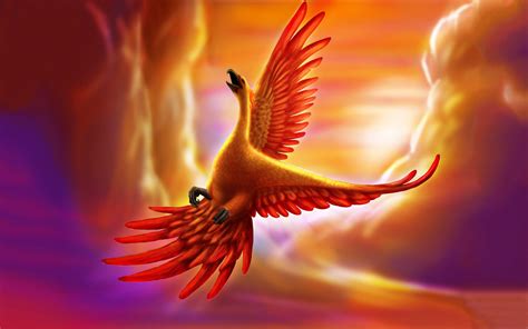 Golden Phoenix Wallpapers Top Free Golden Phoenix Backgrounds