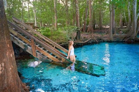 15 Best Florida Springs With Camping You Should Visit Florida Trippers