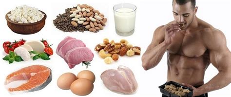 What Is The Optimal Protein Intake For Muscle Mass Calculate The Intake