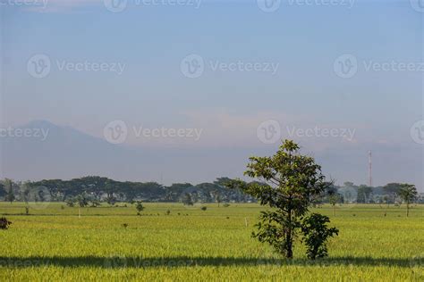 A Serene Rural Landscape of Farms 20420719 Stock Photo at Vecteezy