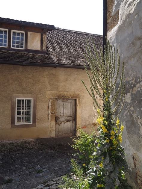 Christoph strasser radelt für den guten zweck einmal rund um österreich. Schoenthal Monastery | Schoenthal Monastery, first ...
