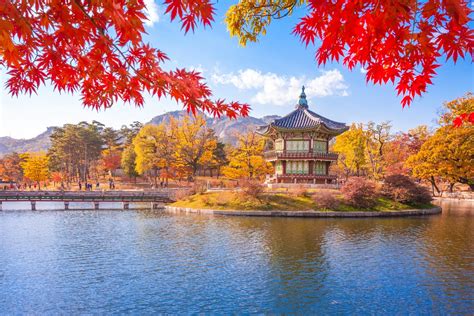 Why South Korea Is A Travellers Paradise Martavius Eacklestravel Blog