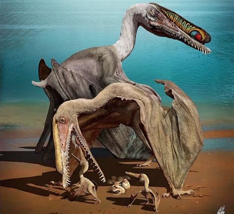 Fossilized Pterosaur Eggs Hold Perfectly Preserved Embryos Inside Live Science
