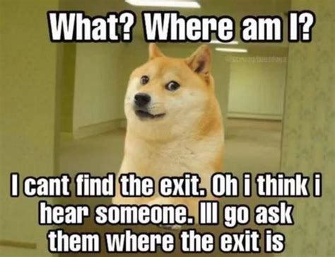Doge Visits The Backrooms The Backrooms Know Your Meme