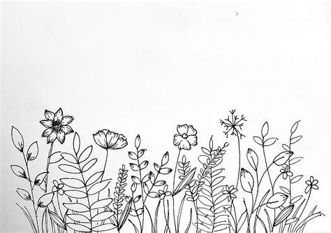 Wildflower Pen Drawing Flower Drawing Wildflower Drawing Doodle Art