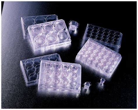 Falcon™ Cell Culture Inserts For Use With 6 Well Plates High Density Translucent 3 μm 6 Well