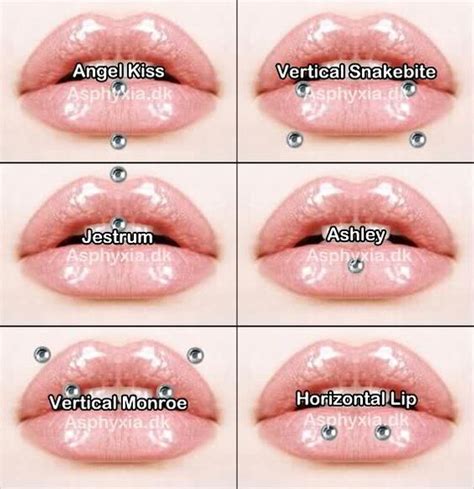 The Many Styles Of Lip Piercings I Will Take The Vertical Snakebites