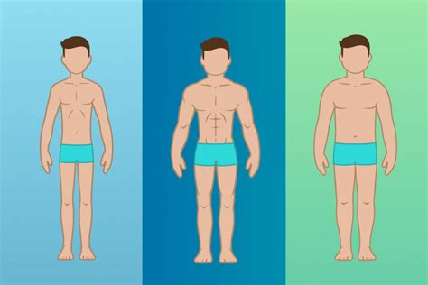 Ectomorph Mesomorph Or Endomorph How To Determine Your Body Type