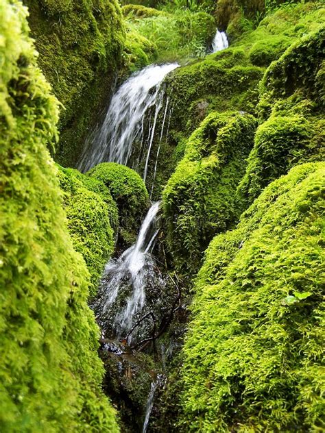 Mossy Waterfalls From Oregon Stock Image Image Of Close Green 33698973