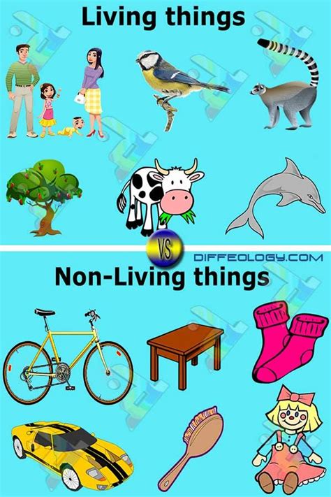 Difference Between Living And Non Living Things Kids Worksheets