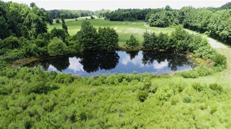 4.9+ million cars · latest car reviews & news · best local deals Jenkins Farm in Lenoir County, North Carolina (20 Photos ...