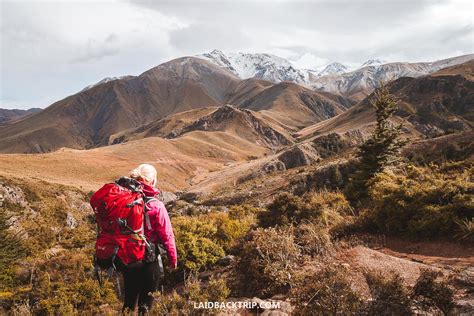 Ultimate New Zealand Packing List — Laidback Trip