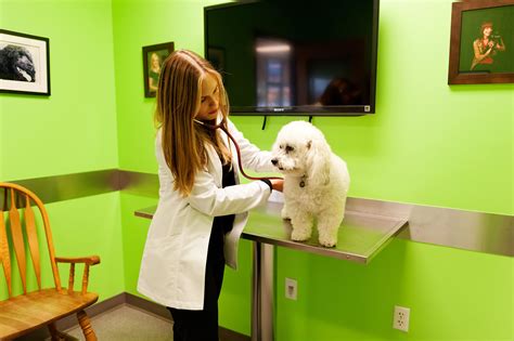 Visit veterinary care center in valdosta, ga and save 25% on your vet bill with a pet plan by pet assure. animal care center | Pet care, Animals, Veterinary care