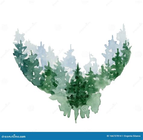 Watercolor Pine Trees Illustration Isolated On White Background Stock
