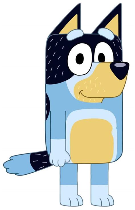 Bluey Disney Jr Show Cartoon Amino