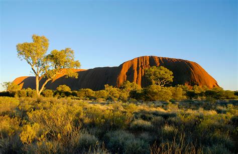 Early Morning At Uluru