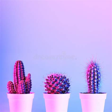 644 Abstract Blue Cactus Wallpaper Photos Free And Royalty Free Stock