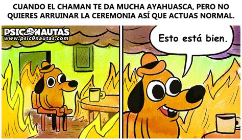 Trending images and videos related to ayahuasca! MEMES - Psiconautas