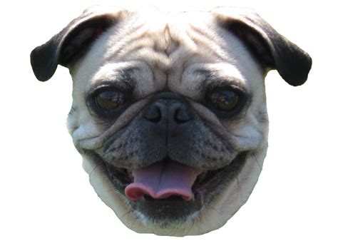 Behind The Scenes How I Design Pugs — Enchanted Type