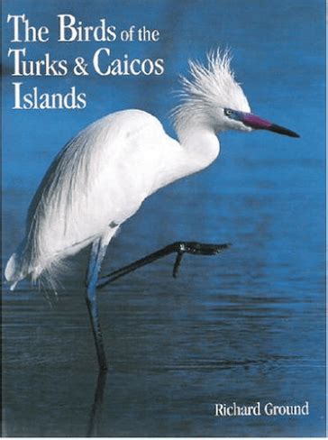 Birds Of The Turks And Caicos Islands Uk Overseas Territories