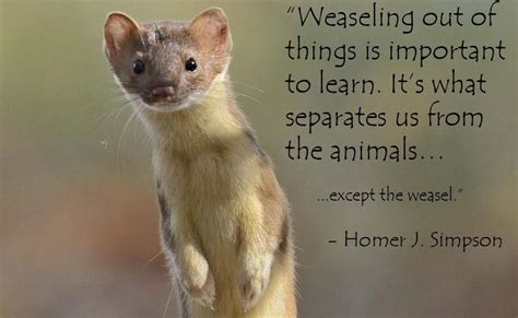 Weaseling Out Of Things Is Important To Learn Its What Separates Us