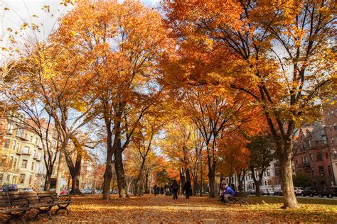 10 Gorgeous Fall Foliage Runs In Massachusetts You Should Try