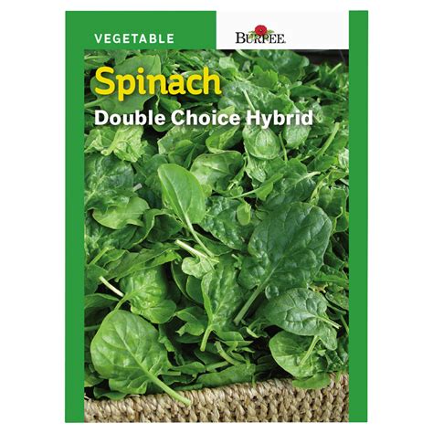 Burpee Spinach Double Choice Hybrid