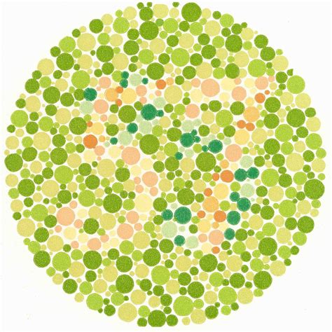 10 Images To Test The Color Blind Facts Verse