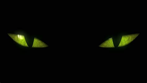 Check spelling or type a new query. Cat Eyes Blinking Loop. Animation Of Cat Eyes Blinking. Seamless Loop. Stock Footage Video ...
