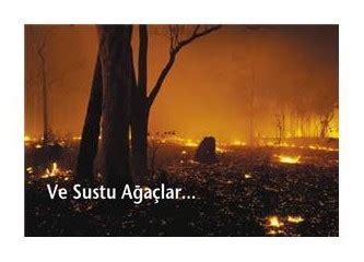 Orman yangınları neden söndürülemiyor Çevre Bilinci Milliyet Blog