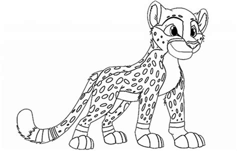 That is due to the cheetah's ability to slip into our imagination cloaked in the mystery of it's ideal form. Cheetah Drawing Step By Step at GetDrawings | Free download