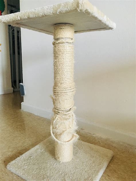 Upcycled Diy Cat Scratching Post With Carpet Easy Tutorial