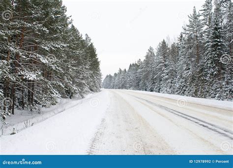 Snowy Country Road Stock Photo Image Of Travel Tree 12978992