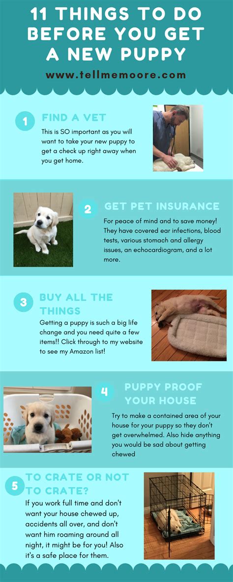 11 Things To Do Before You Get A New Puppy Puppy Newpuppy Dog