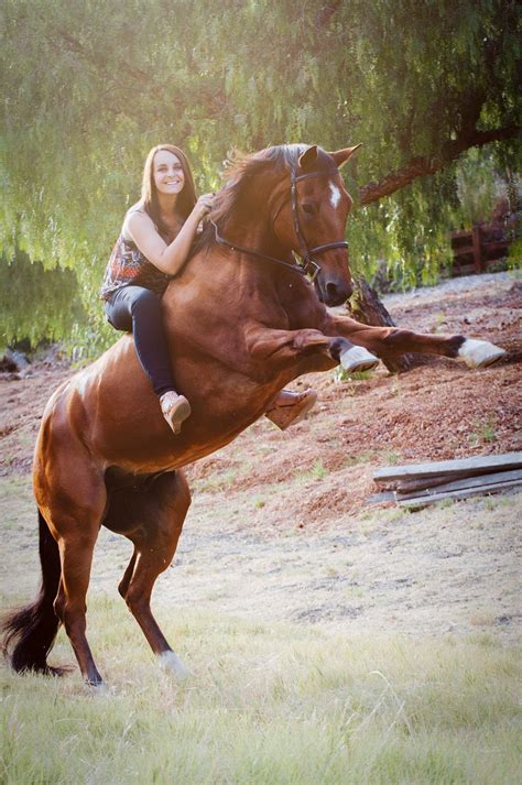 Wee Cool Horse Rearing Up With Girl Riding Bareback Beautiful