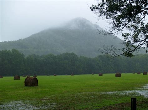 Pinnacle Mountain Base Loop Arkansas