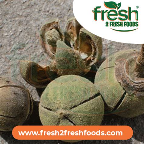 Matohwe African Chew Uxakuxaku Snot Apple Fresh 2 Fresh Foods
