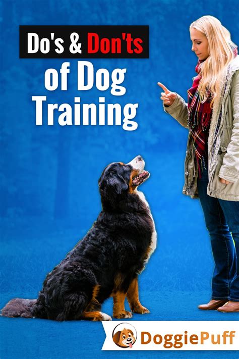 When It Comes To Training Our Dogs Every Dog Owner Needs To Be Aware