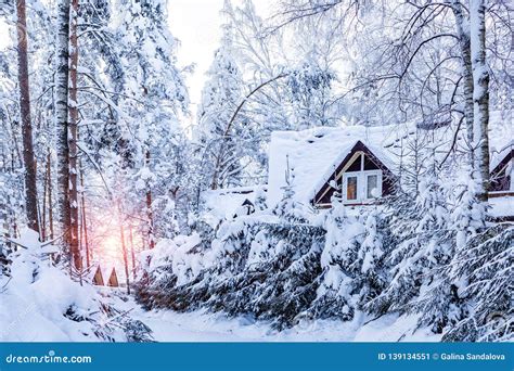 Cottages In The Winter Snow Covered Forest At A Ski Resort Stock Image