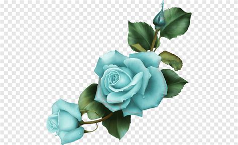 роза чирок арт голубая роза рисунок цветок голубая роза синий