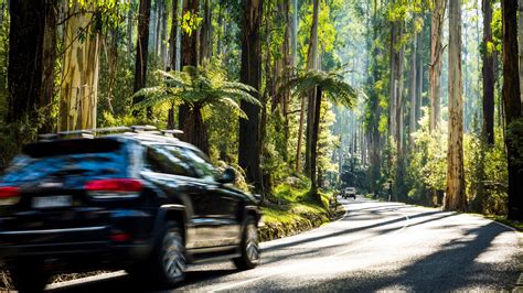 Best road trips from Melbourne | Victorian road trips