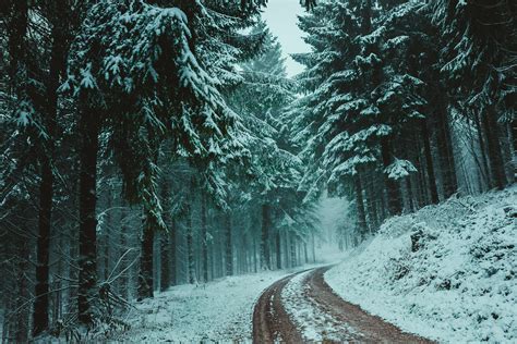 1000 Great Winter Landscape Photos · Pexels · Free Stock Photos