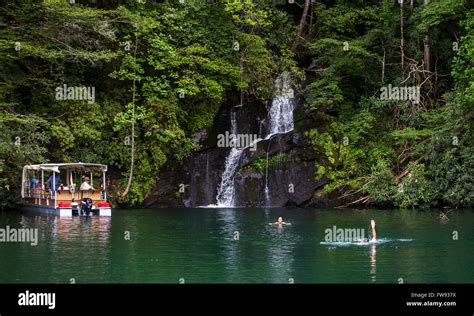 Swimming By Waterfalls On Lake Jocassee During A Pontoon Boat Tour In