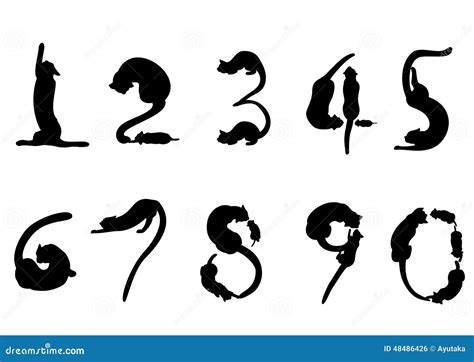 Number Of Cat Silhouette Stock Vector Image Of Numbers 48486426