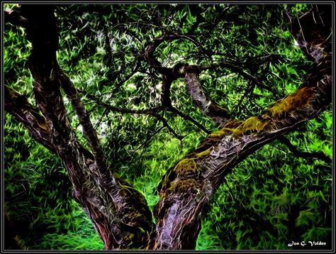 Creepy Tree Painting By Jon Volden Fine Art America