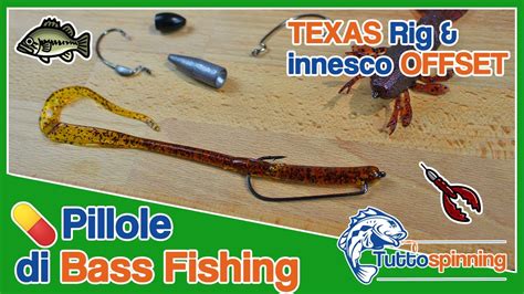 Texas Rig And Innesco Su Amo Offset 💊 Pillole Di Bass Fishing Youtube