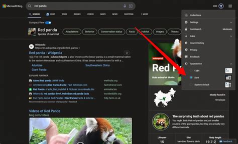 Bing Search And Bing Chat Officially Rolling Out Dark Mode Review Guruu