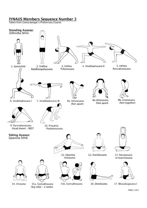 Types Of Yoga Iyengar