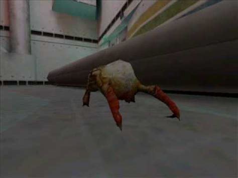 Half Life Headcrab Sounds YouTube